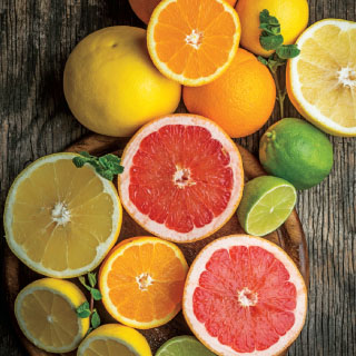 Citrus Basics