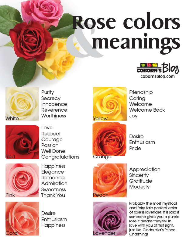 Rose Colors And Meanings - www.cobornsblog.com | CelebrateMORE.com
